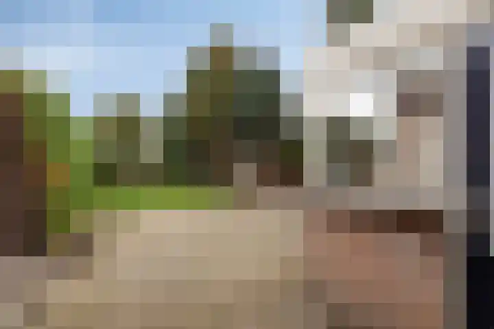 Lijsterstraat 6 Smilde thumbnail 33