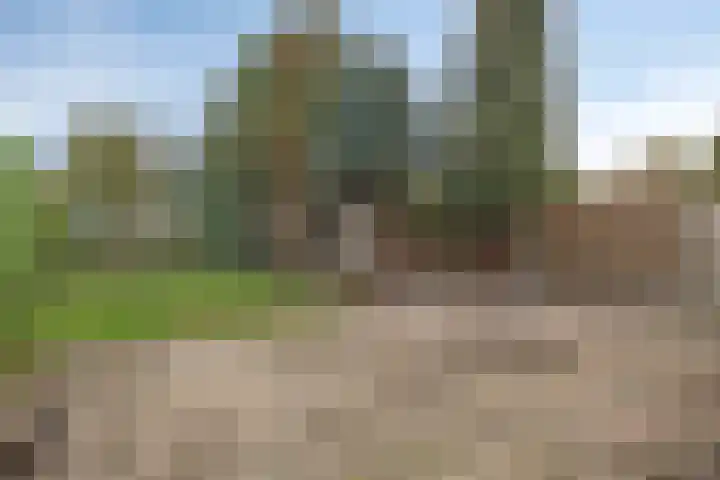 Lijsterstraat 6 Smilde thumbnail 34