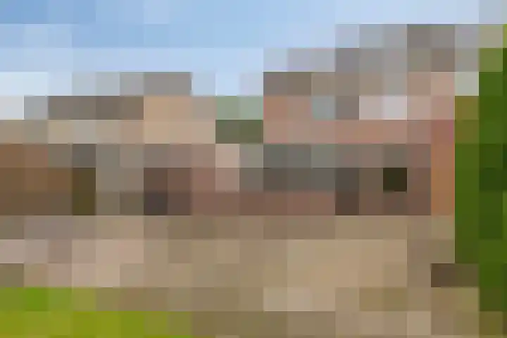 Lijsterstraat 6 Smilde thumbnail 36