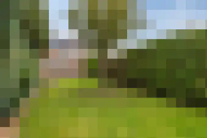 Lijsterstraat 6 Smilde thumbnail 38