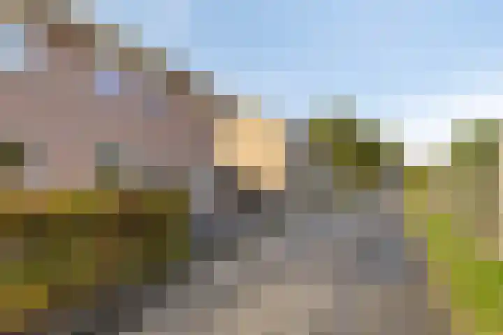Lijsterstraat 6 Smilde thumbnail 6