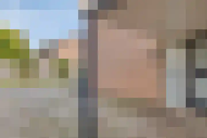 Lijsterstraat 6 Smilde thumbnail 8