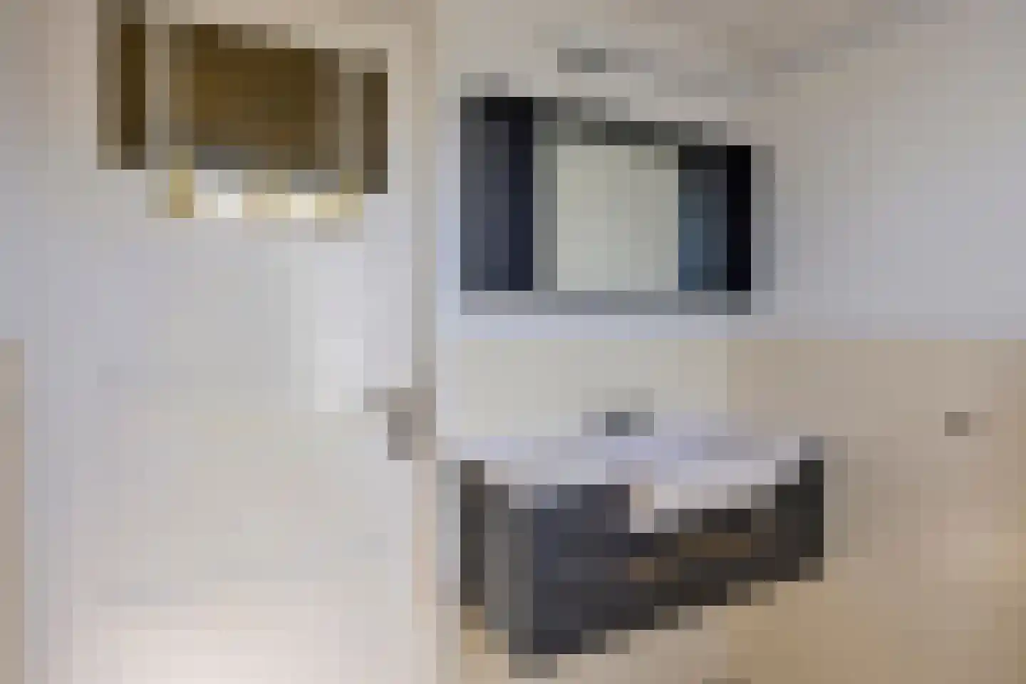 Lijsterstraat 6 Tiel thumbnail 18