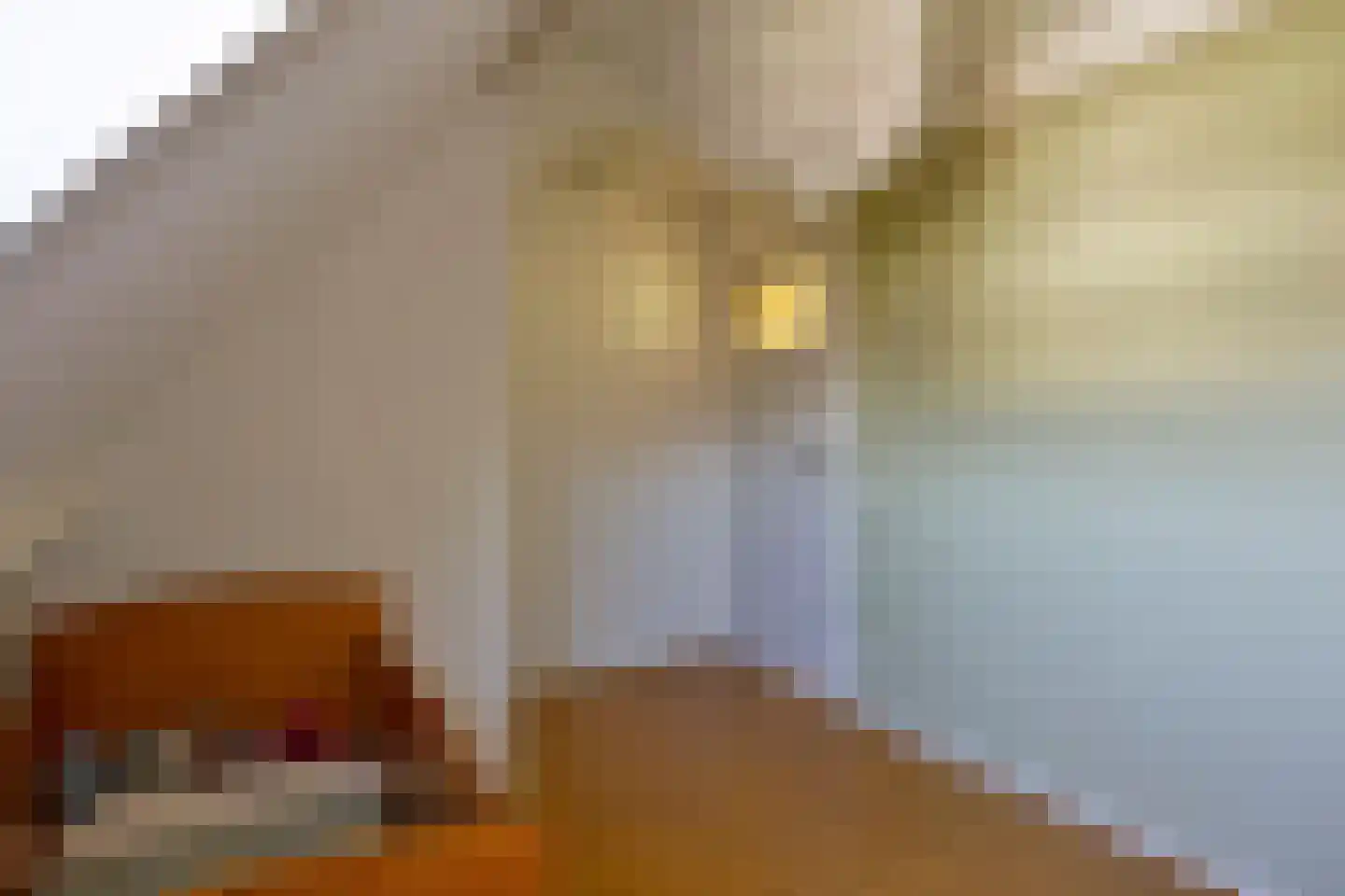 Lijsterstraat 6 Tiel thumbnail 20