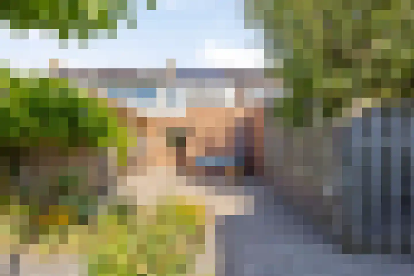 Lijsterstraat 6 Tiel thumbnail 22