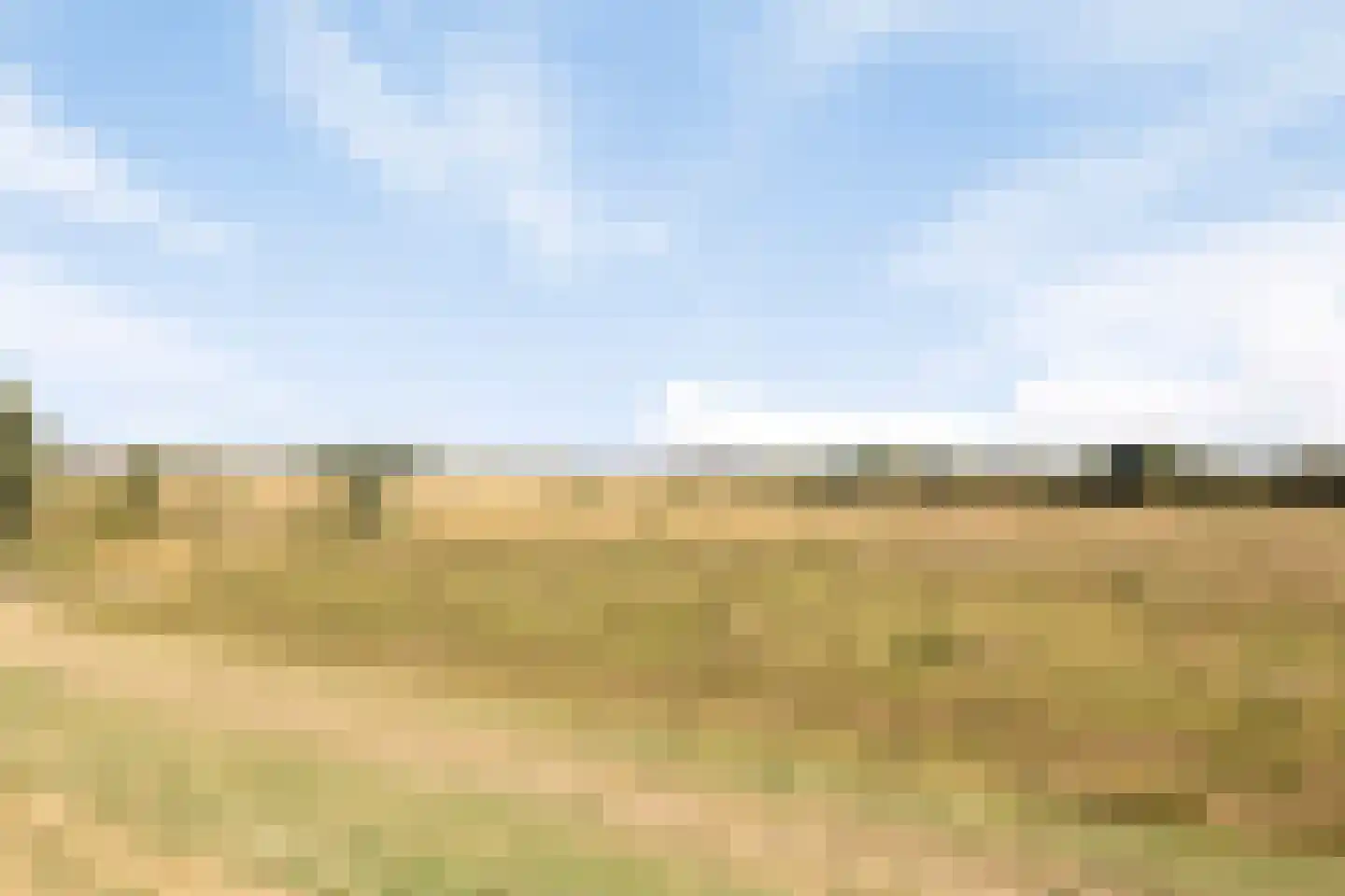 Lijsterstraat 6 Tiel thumbnail 37