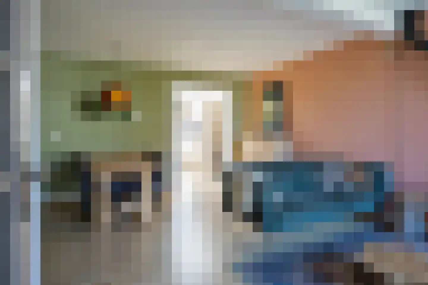 Lijsterstraat 6 Tiel thumbnail 4