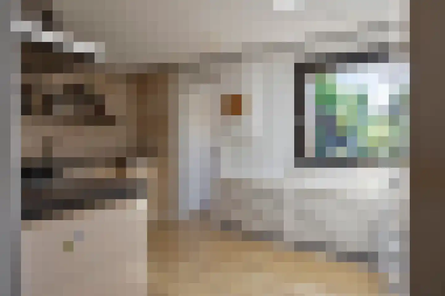 Lijsterstraat 6 Tiel thumbnail 8