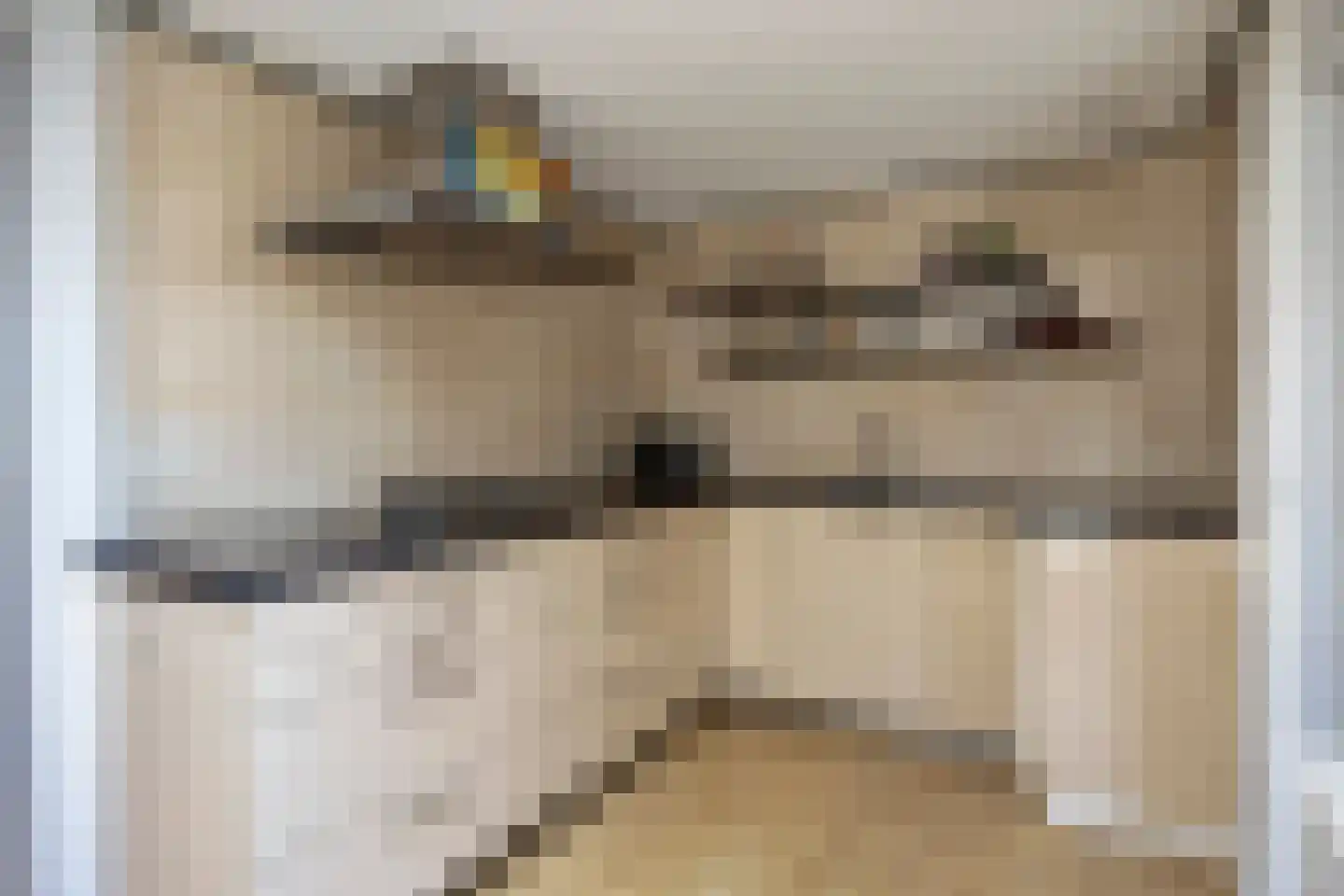 Lijsterstraat 6 Tiel thumbnail 9