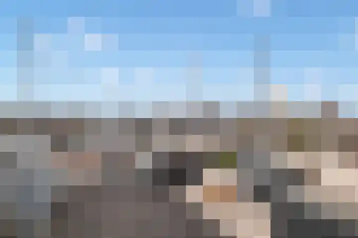 Lijsterstraat 6 Utrecht thumbnail 4