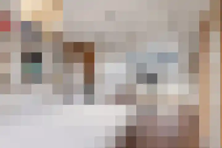 Lijsterstraat 6 Utrecht thumbnail 44