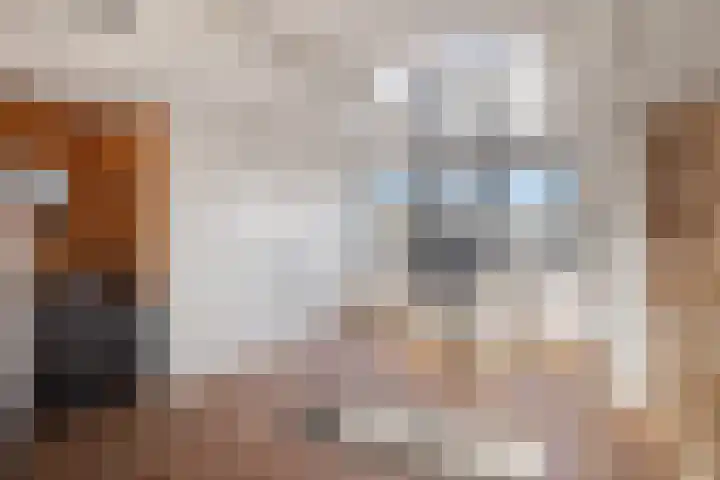 Lijsterstraat 6 Utrecht thumbnail 45