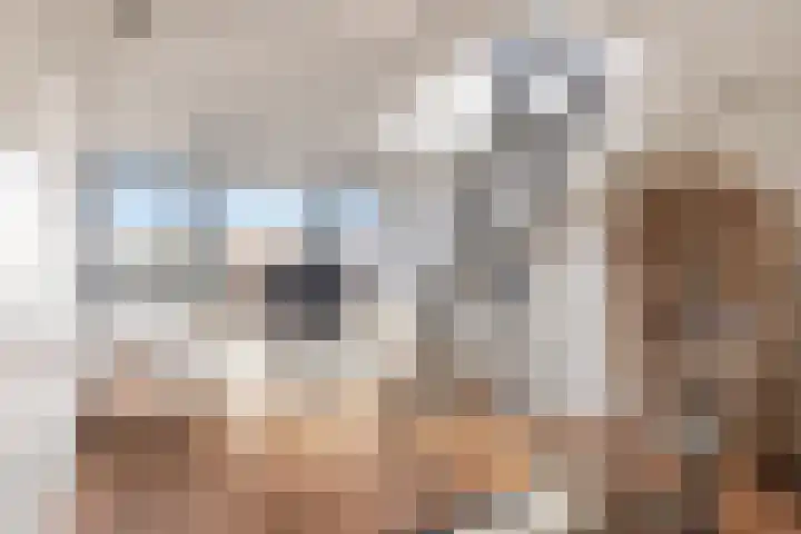 Lijsterstraat 6 Utrecht thumbnail 46
