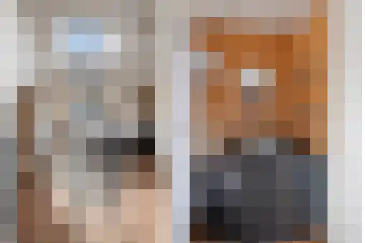 Lijsterstraat 6 Utrecht thumbnail 47