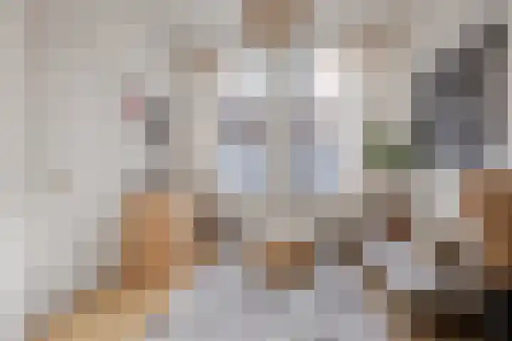 Lijsterstraat 6 Utrecht thumbnail 8