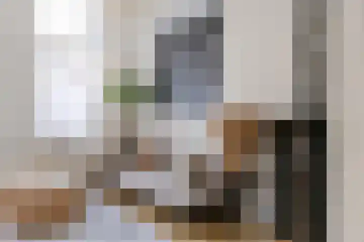 Lijsterstraat 6 Utrecht thumbnail 9