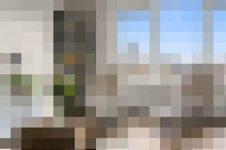 Lijsterstraat 60 Amersfoort thumbnail 7