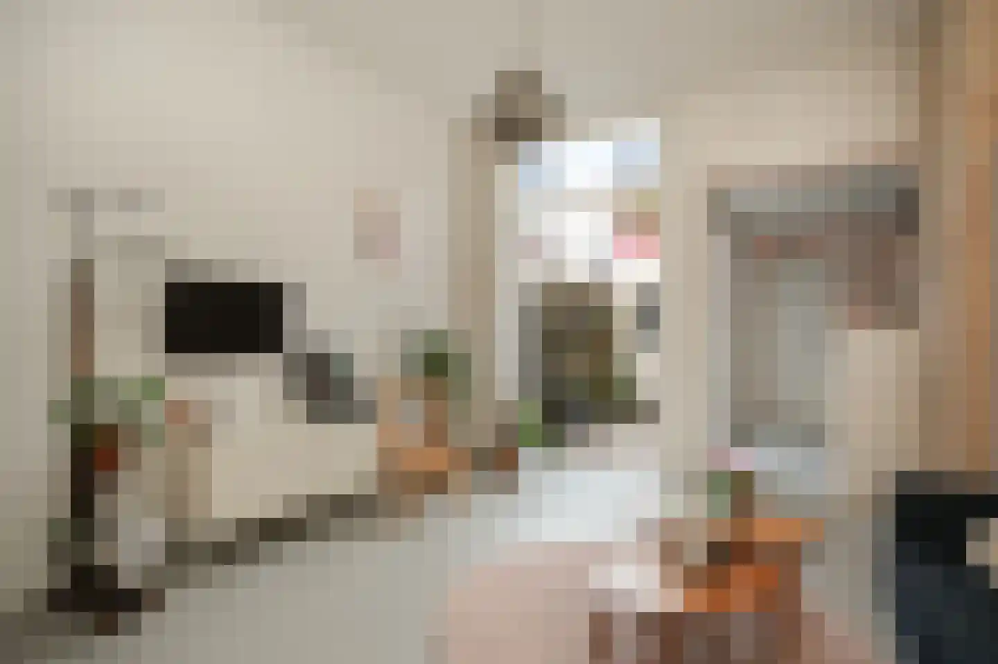 Lijsterstraat 60 Utrecht thumbnail 16