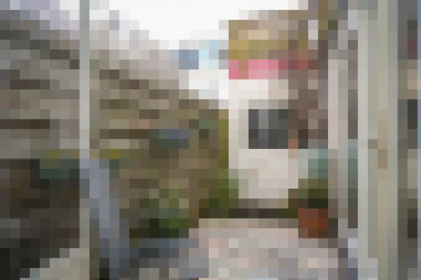 Lijsterstraat 60 Utrecht thumbnail 20