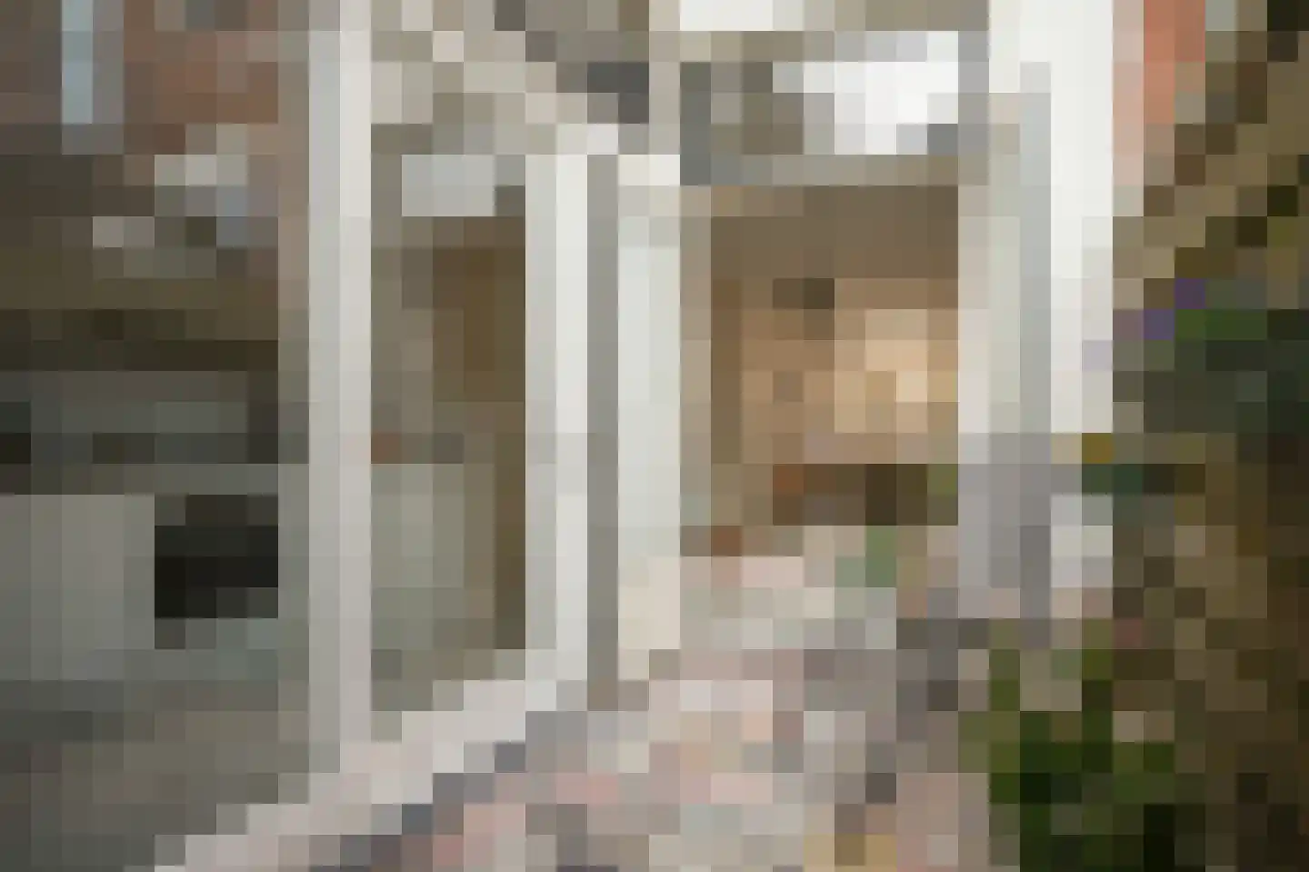 Lijsterstraat 60 Utrecht thumbnail 21