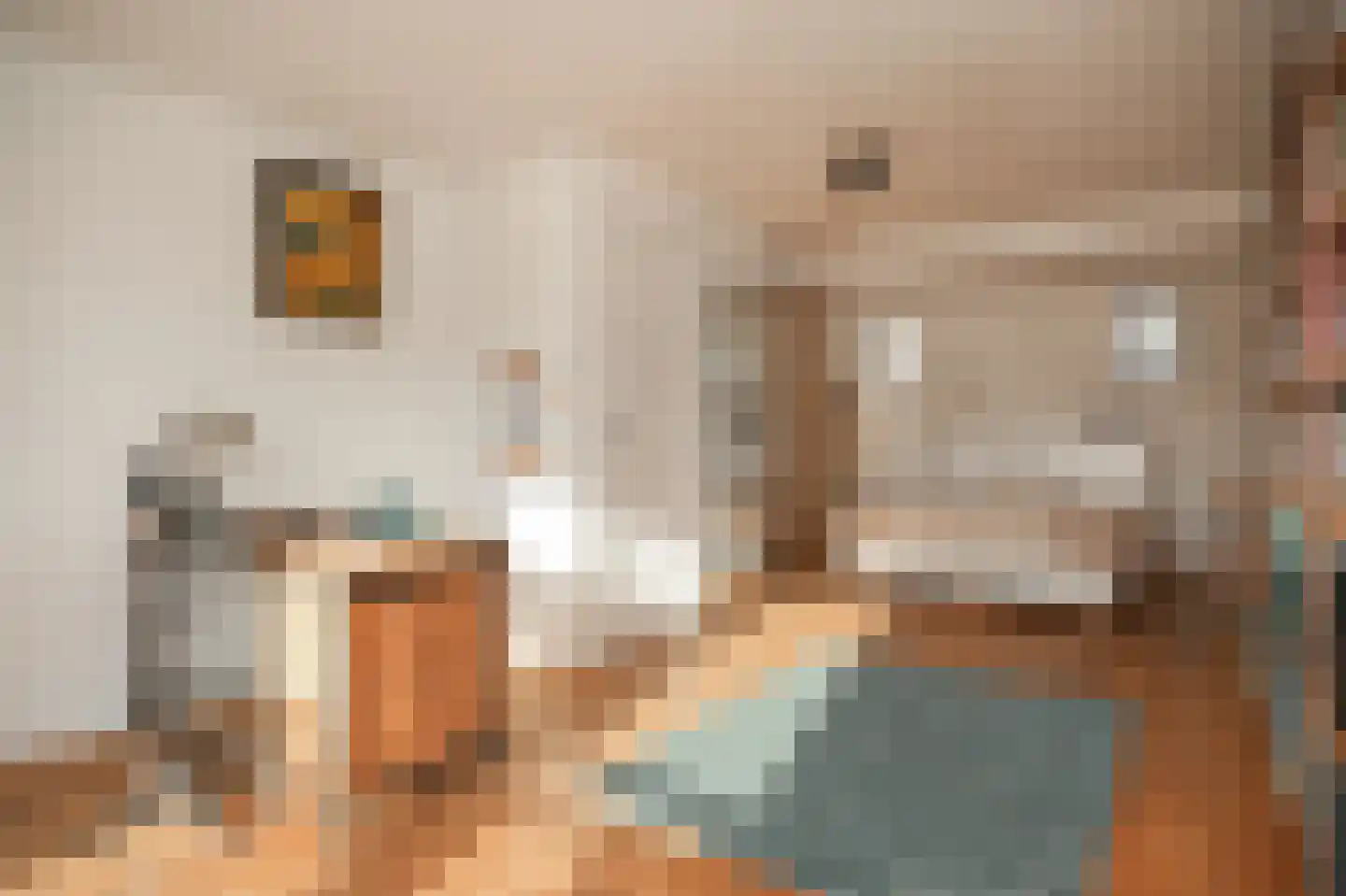 Lijsterstraat 60 Utrecht thumbnail 35