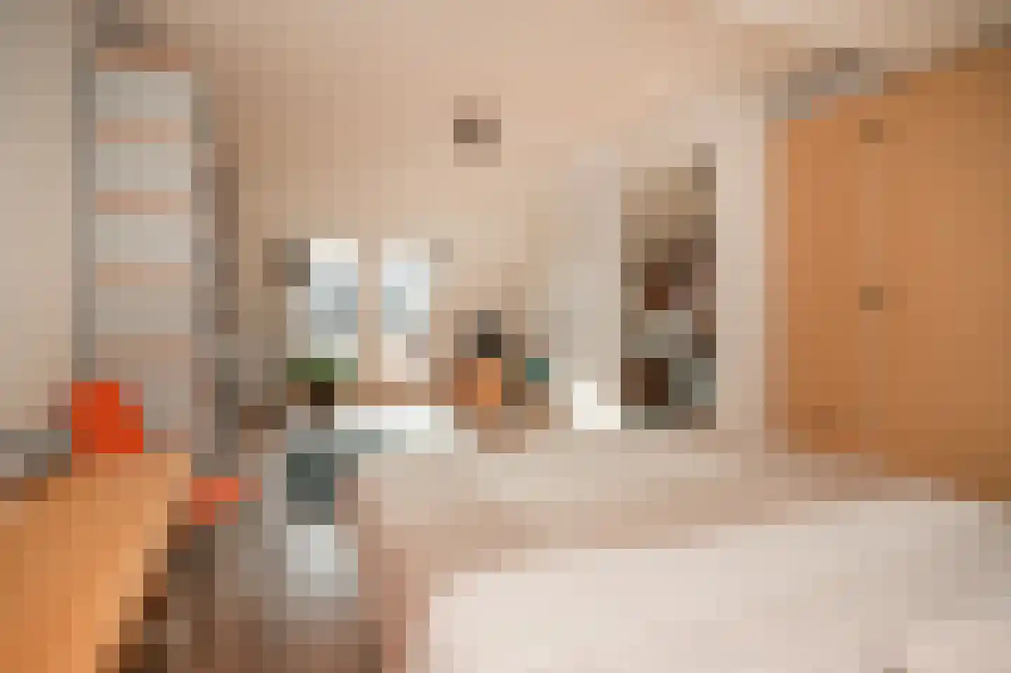 Lijsterstraat 60 Utrecht thumbnail 36
