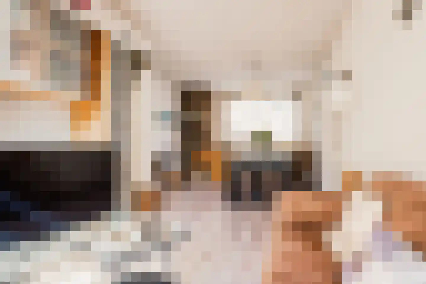 Lijsterstraat 64 Haarlem thumbnail 11