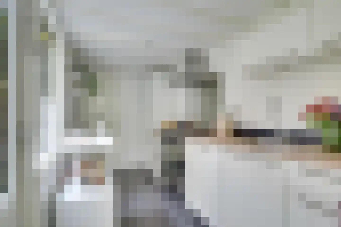 Lijsterstraat 74 Utrecht thumbnail 16