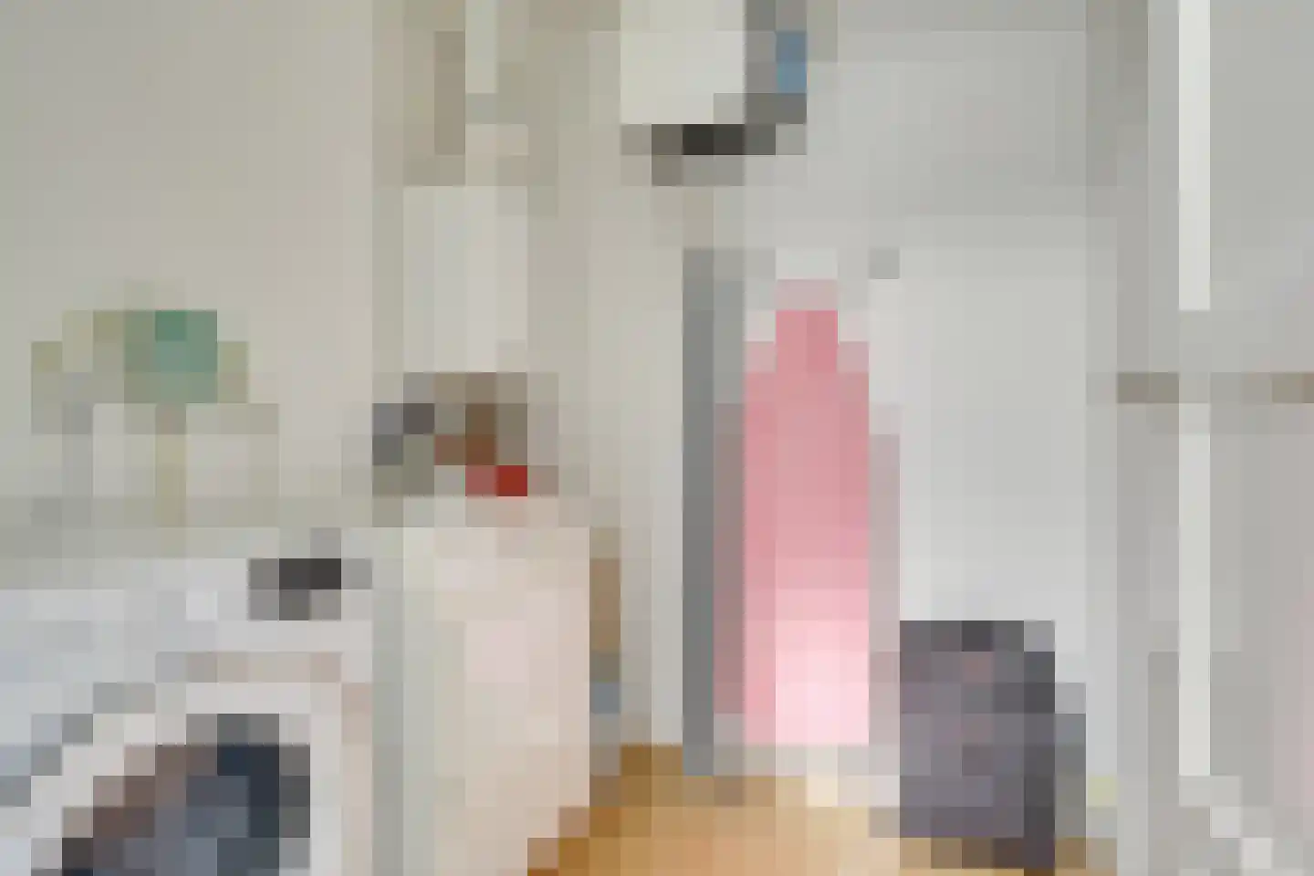 Lijsterstraat 74 Utrecht thumbnail 42