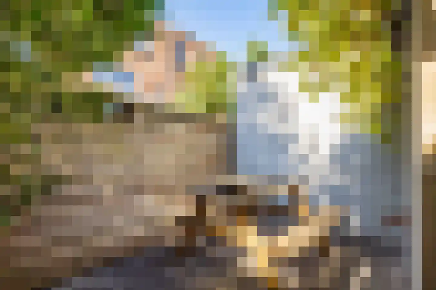 Lijsterstraat 74 Utrecht thumbnail 5