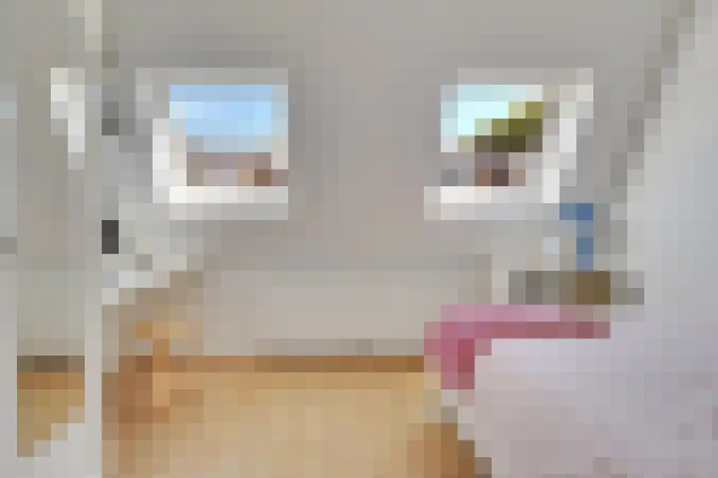 Lijsterstraat 74 Utrecht thumbnail 7