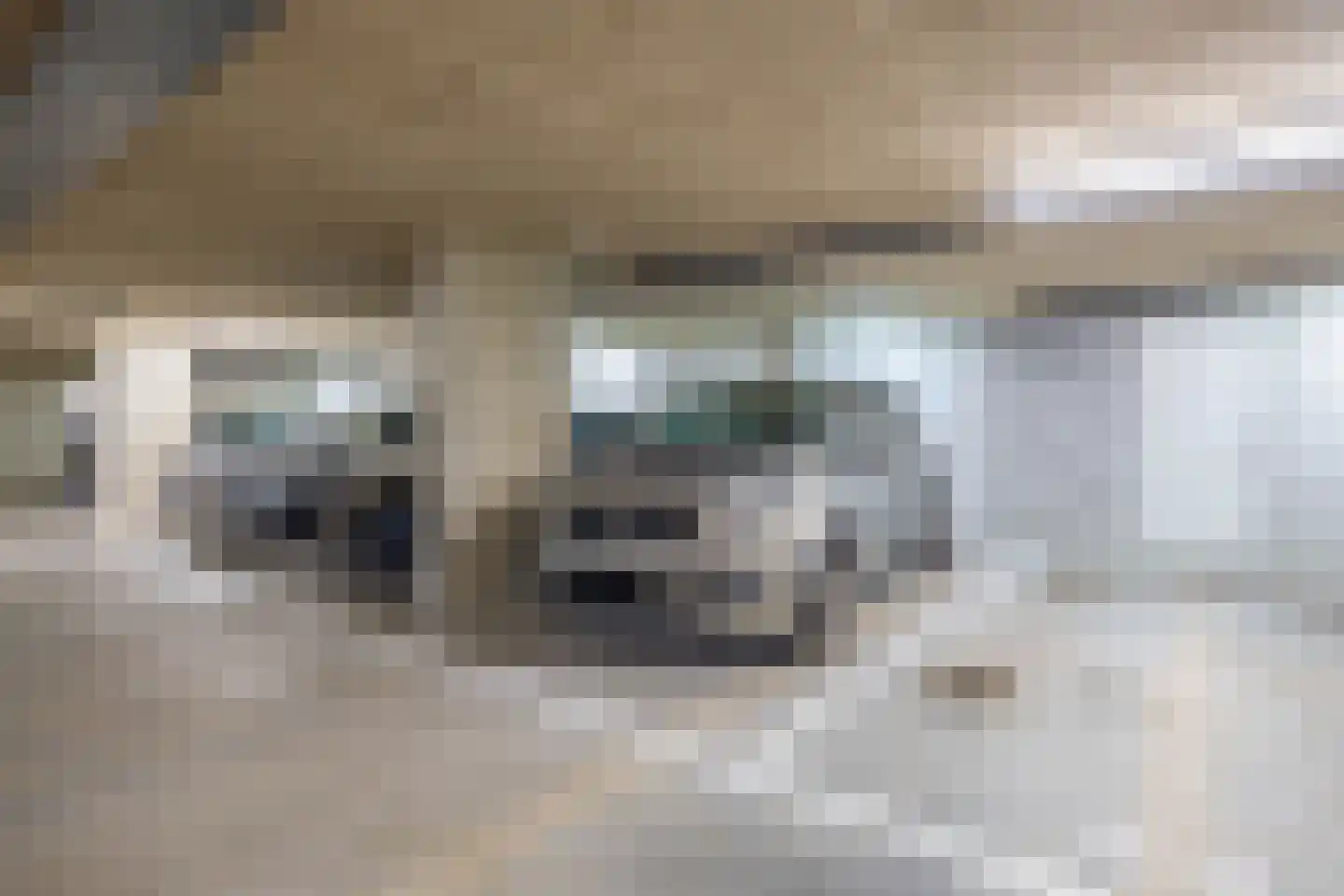 Lijsterstraat 78 Krimpen aan den IJssel thumbnail 35