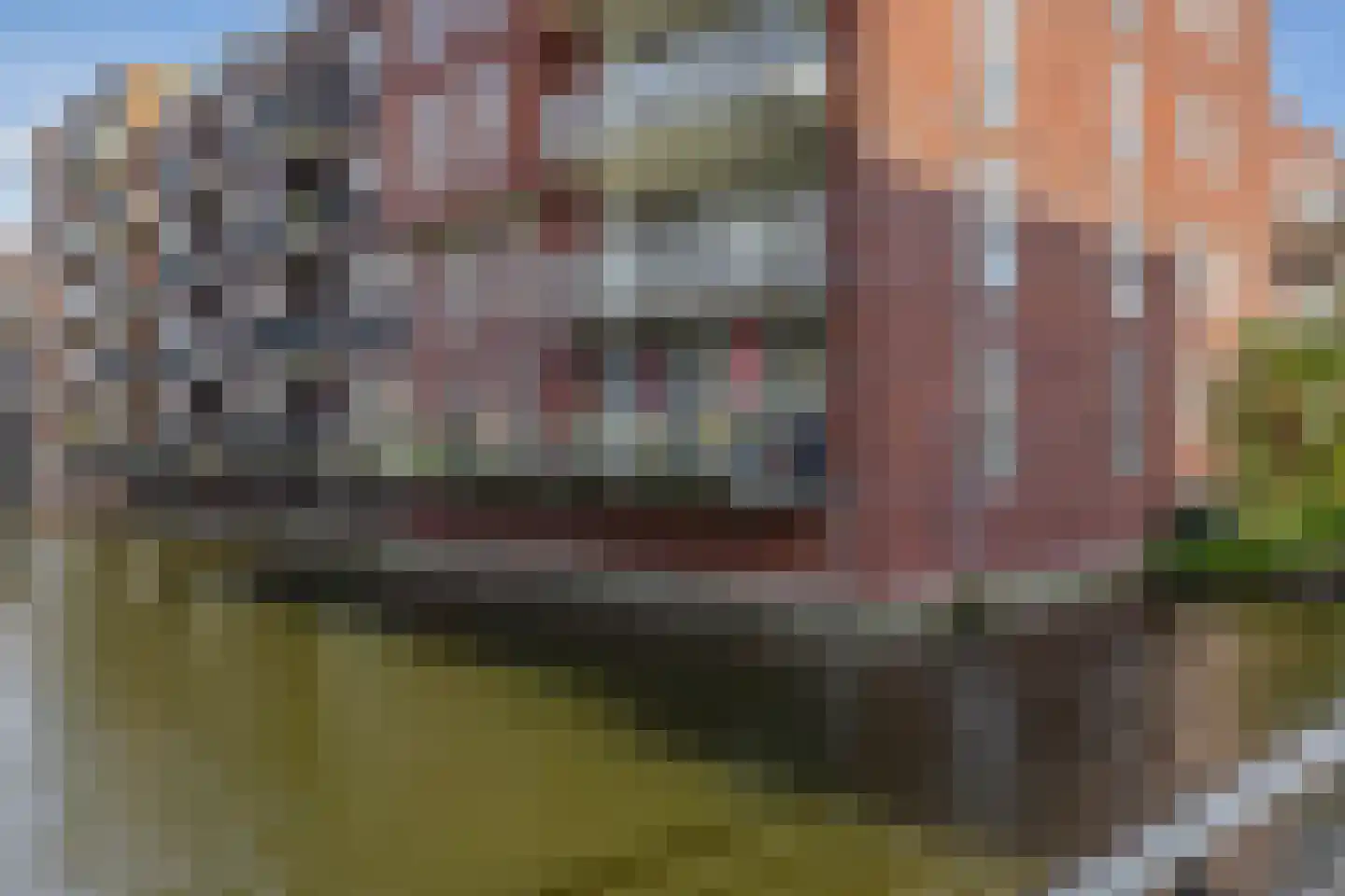 Lijsterstraat 78 Krimpen aan den IJssel thumbnail 37