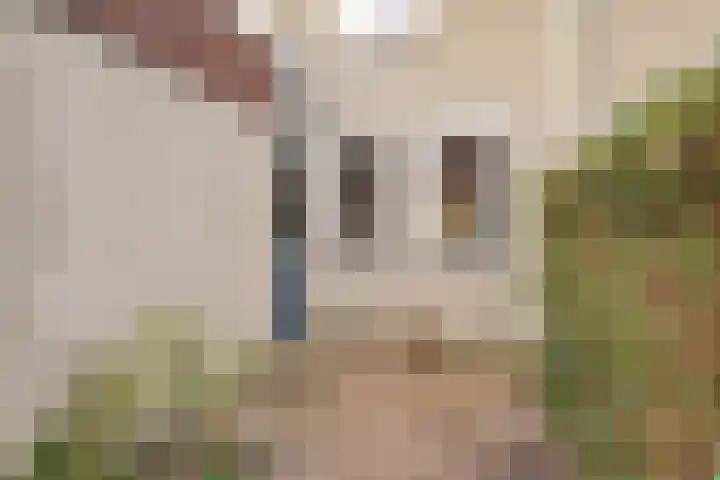 Lijsterstraat 78 Neede thumbnail 36