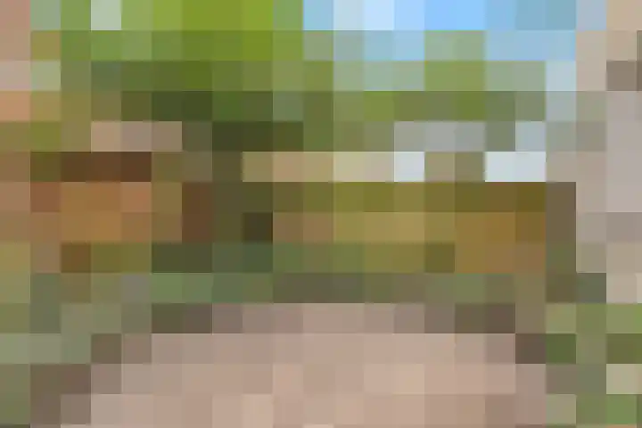 Lijsterstraat 78 Neede thumbnail 37