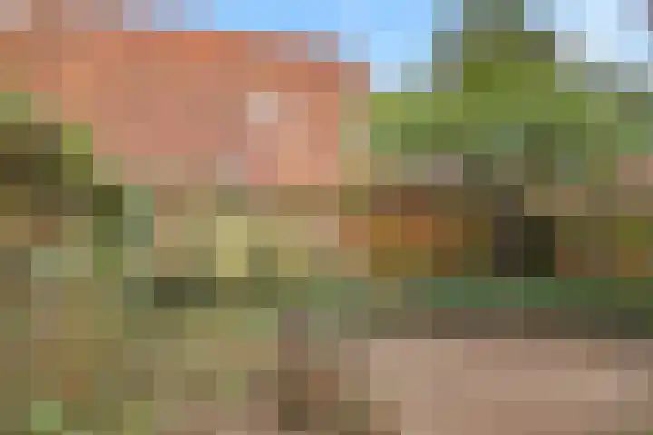 Lijsterstraat 78 Neede thumbnail 38