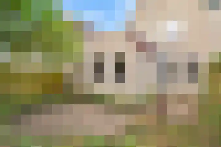 Lijsterstraat 78 Neede thumbnail 40