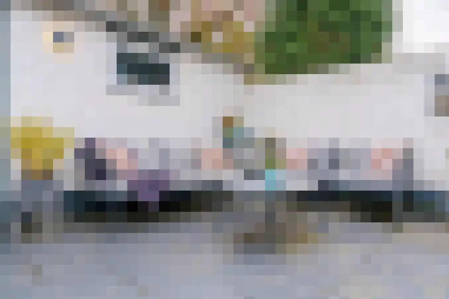 Lijsterstraat 8 Helmond thumbnail 29