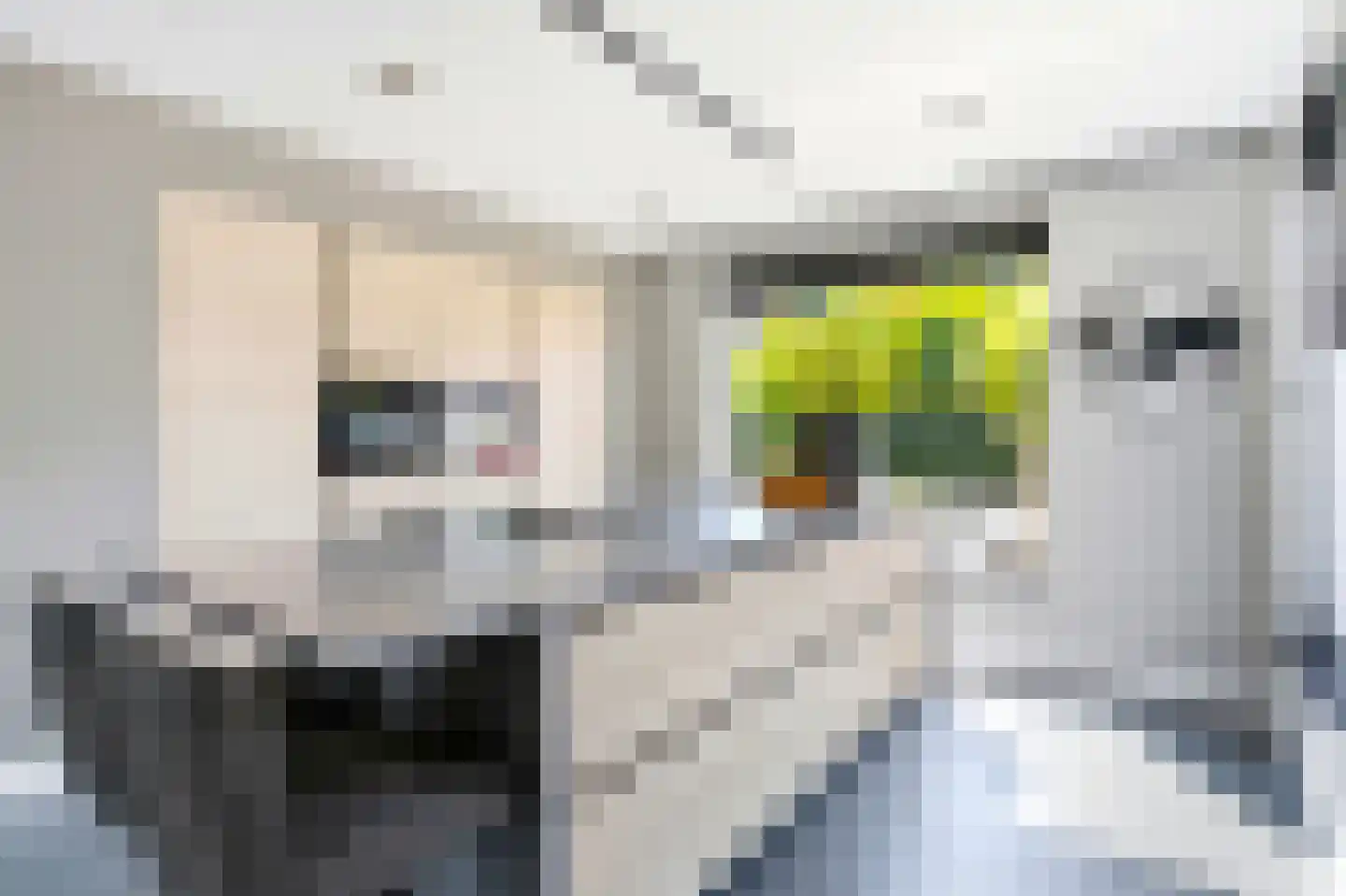 Lijsterstraat 8 Mill thumbnail 10
