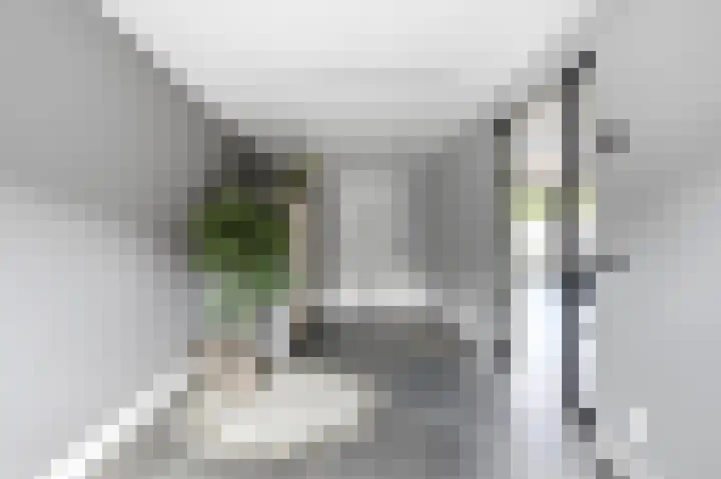 Lijsterstraat 8 Mill thumbnail 14