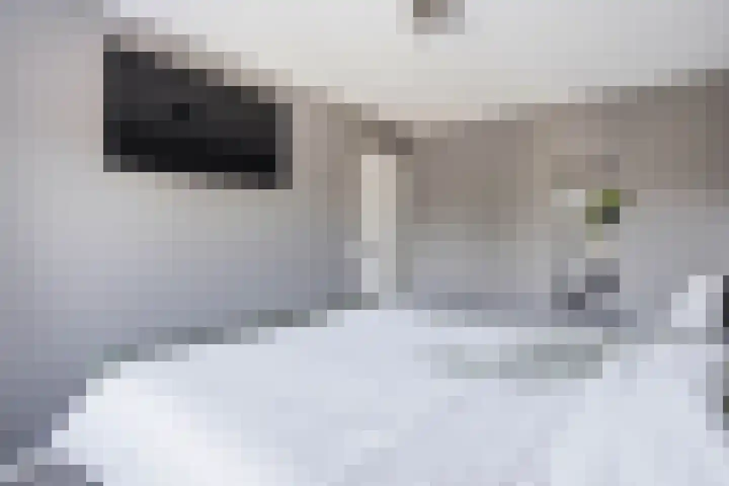 Lijsterstraat 8 Mill thumbnail 18