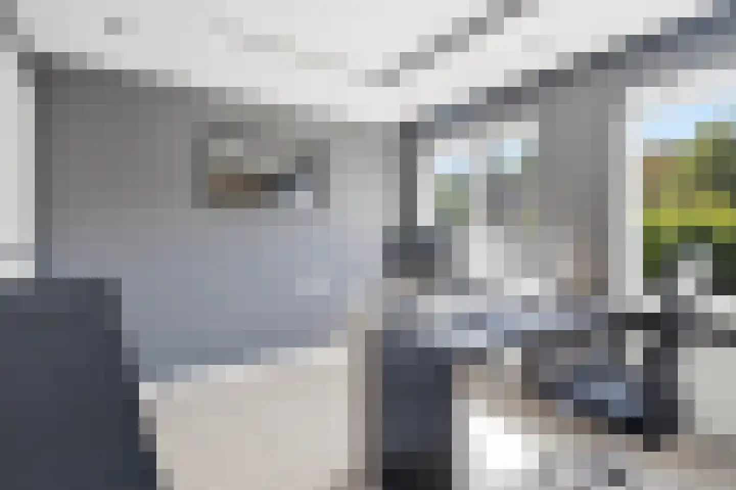 Lijsterstraat 8 Mill thumbnail 20