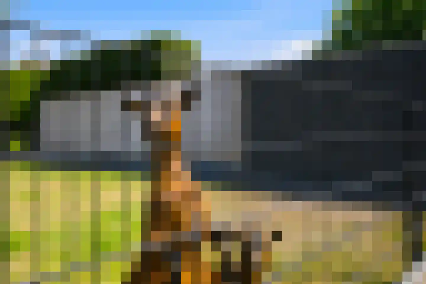 Lijsterstraat 8 Mill thumbnail 40