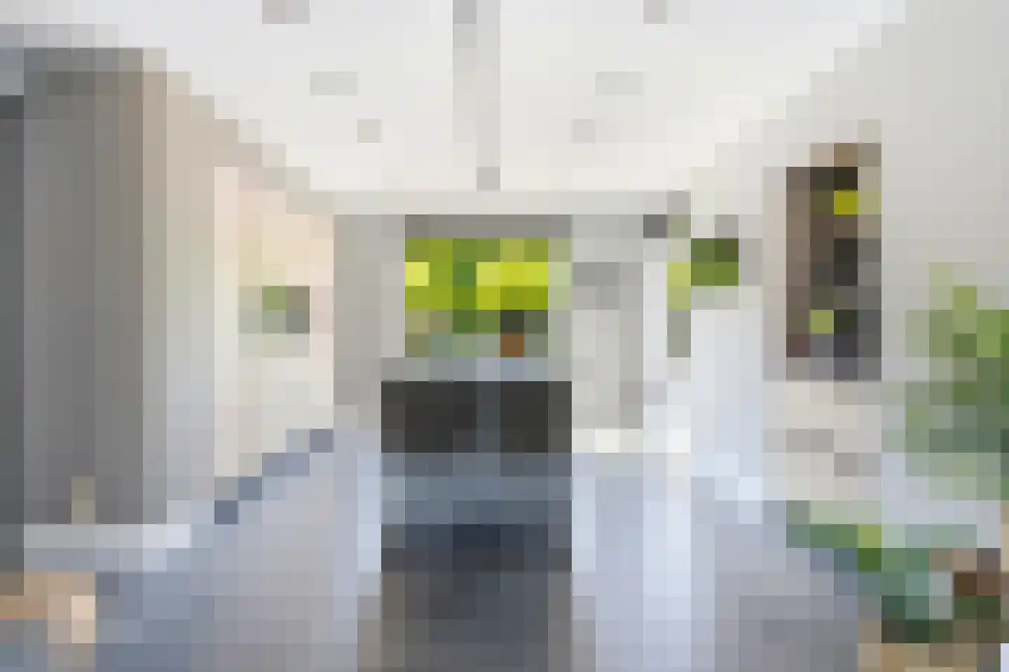 Lijsterstraat 8 Mill thumbnail 8