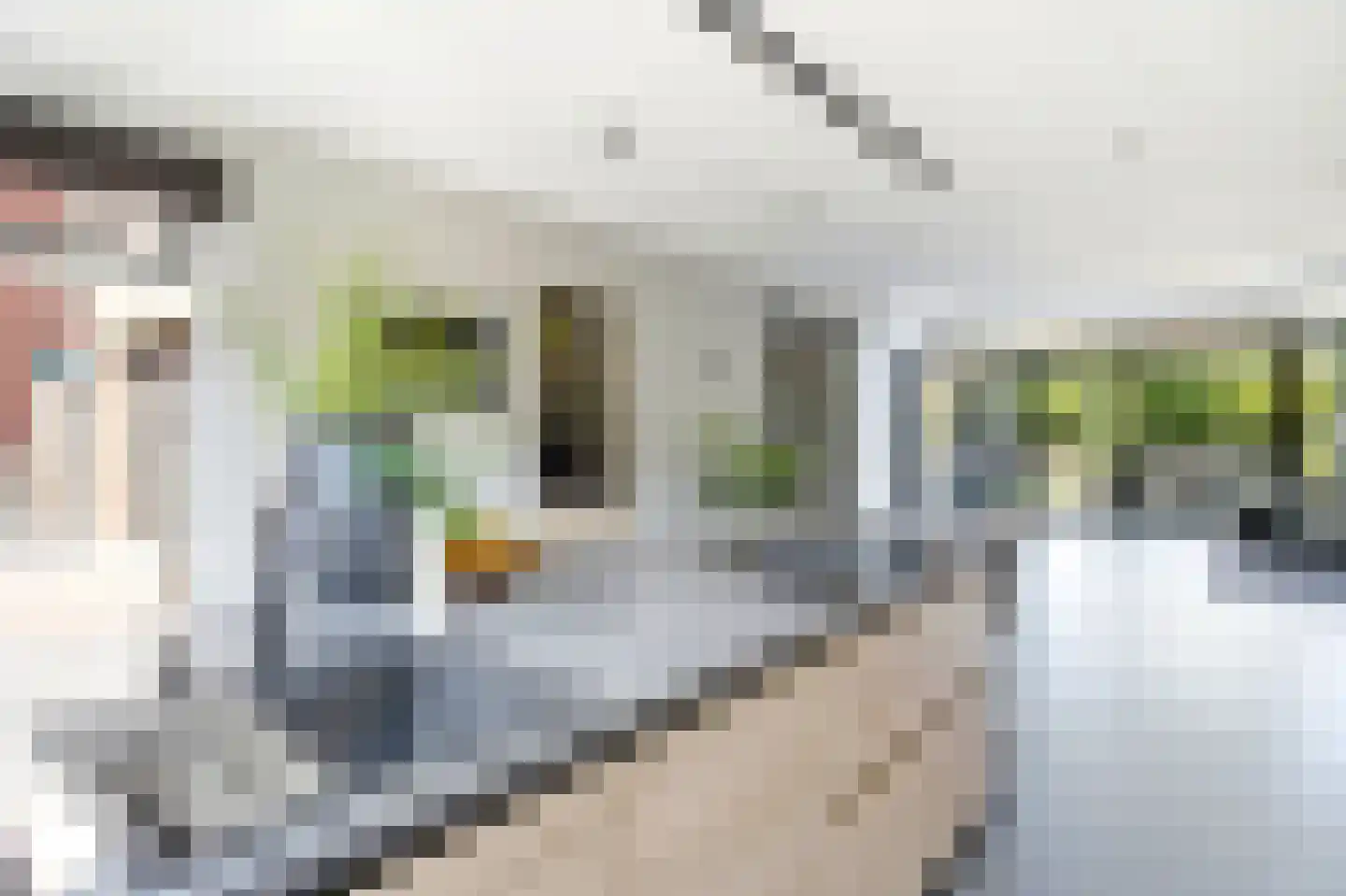 Lijsterstraat 8 Mill thumbnail 9