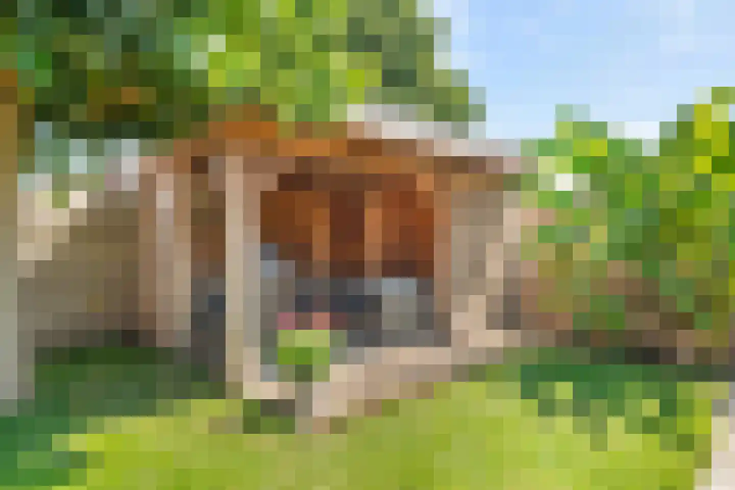 Lijsterstraat 8 Numansdorp thumbnail 13