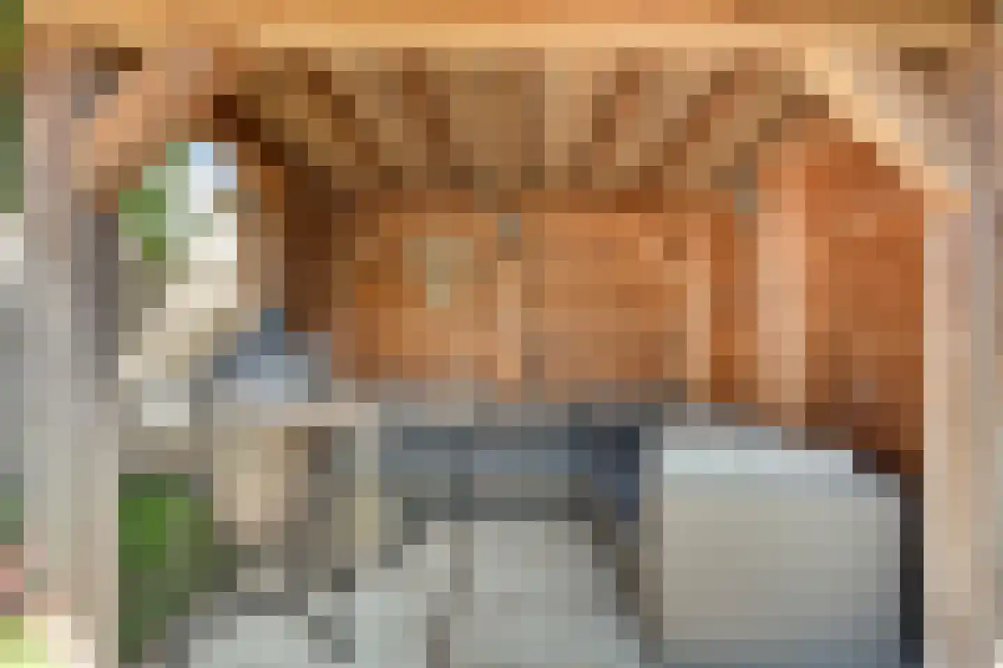 Lijsterstraat 8 Numansdorp thumbnail 14