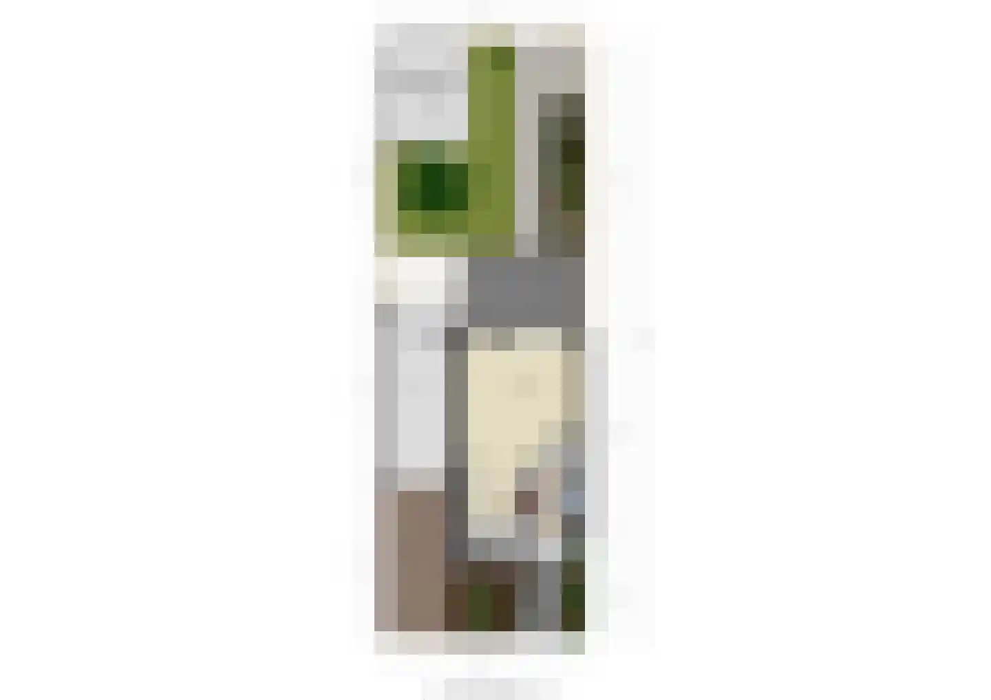 Lijsterstraat 8 Numansdorp thumbnail 44