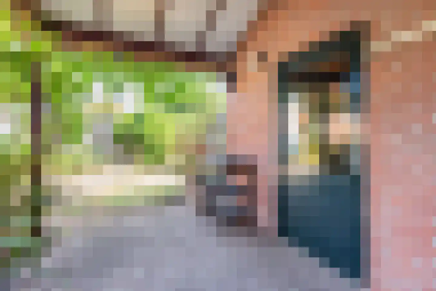 Lijsterstraat 8 Ulft thumbnail 29