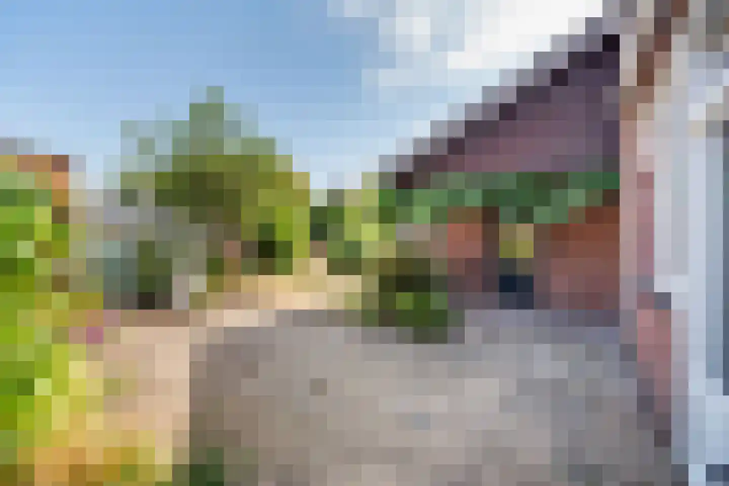 Lijsterstraat 8 Ulft thumbnail 31